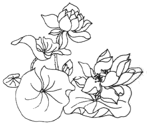 f73.gif (14909 字节)